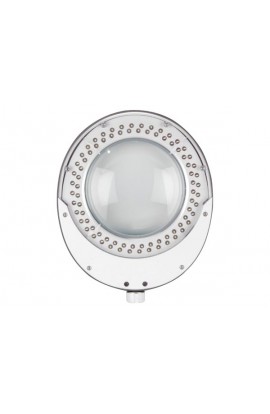 VTLLAMP4W