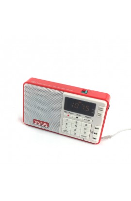 Q3 FM POCKET RADIO WITH MP3 ROOD