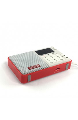 Q3 FM POCKET RADIO WITH MP3 ROOD