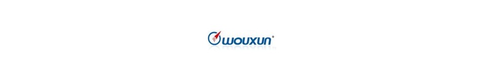 Wouxun